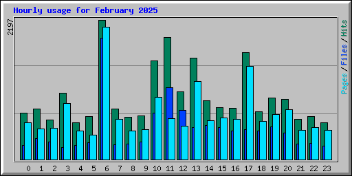 Hourly usage for February 2025