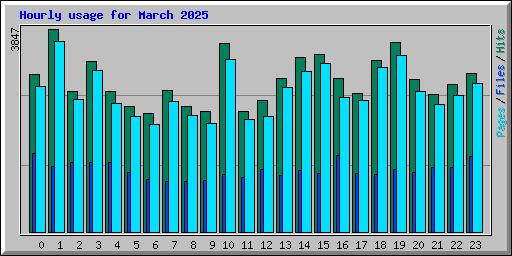 Hourly usage for March 2025