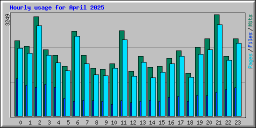 Hourly usage for April 2025