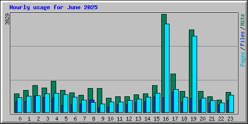 Hourly usage for June 2025