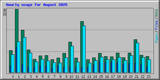 Hourly usage for August 2025