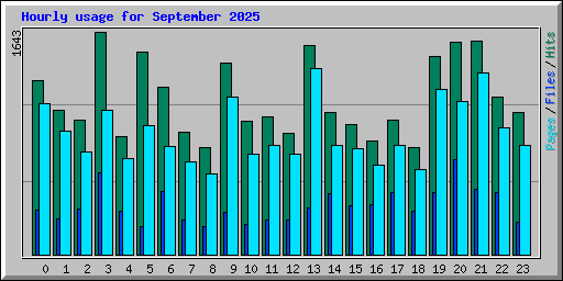 Hourly usage for September 2025
